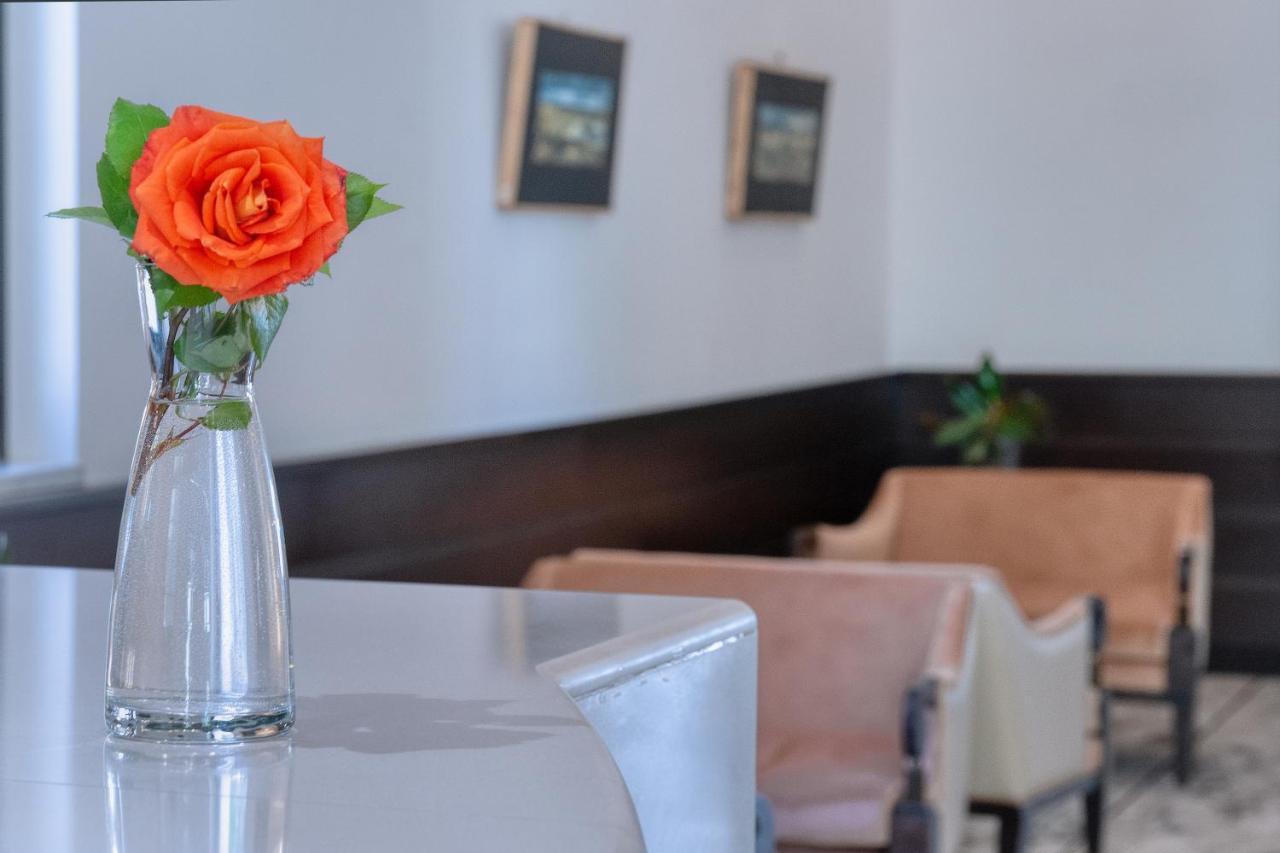 Park Hotel Mondovì Dış mekan fotoğraf